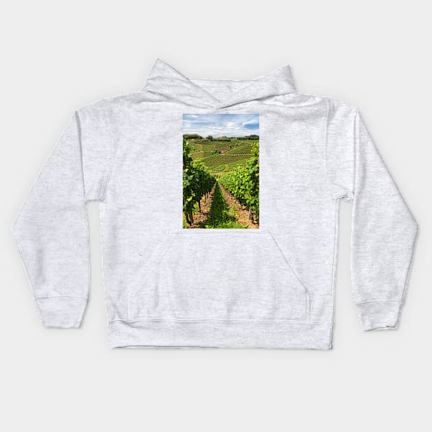 The Vineyard Kids Hoodie by yairkarelic